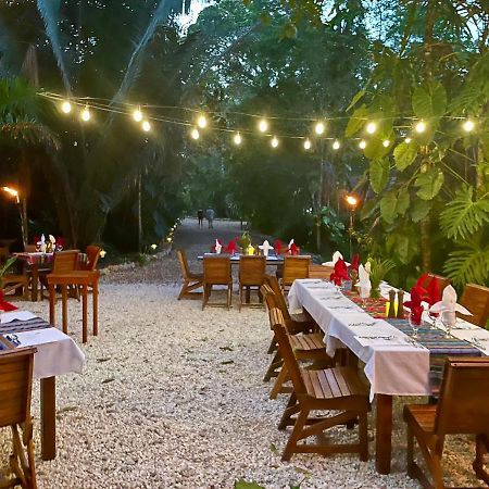 Mariposa Jungle Lodge San Ignacio Zewnętrze zdjęcie
