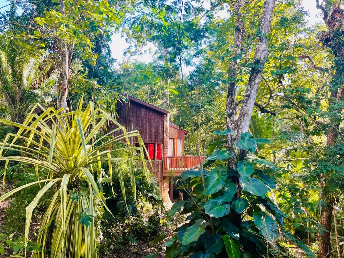 Mariposa Jungle Lodge San Ignacio Zewnętrze zdjęcie