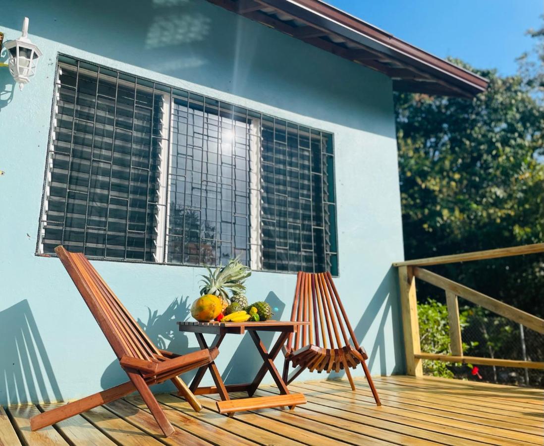 Mariposa Jungle Lodge San Ignacio Zewnętrze zdjęcie