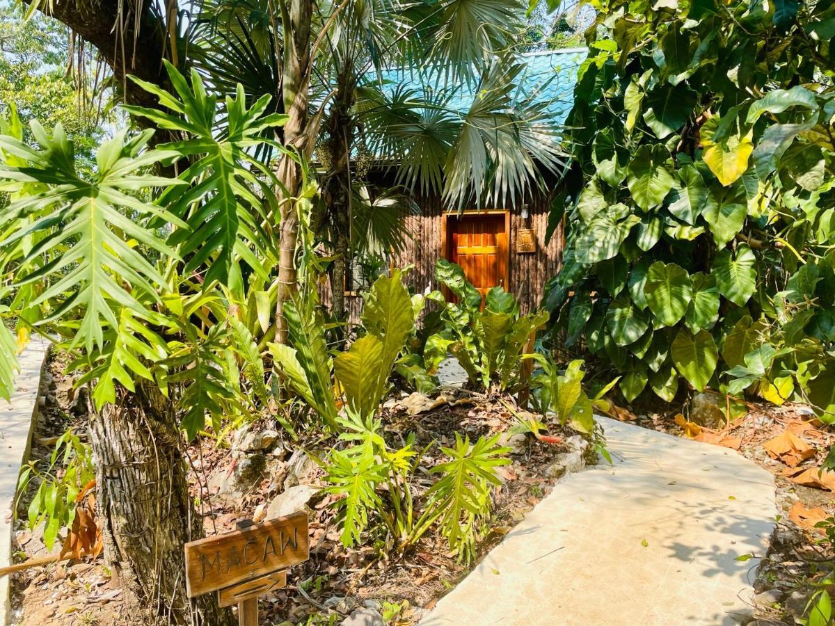 Mariposa Jungle Lodge San Ignacio Zewnętrze zdjęcie