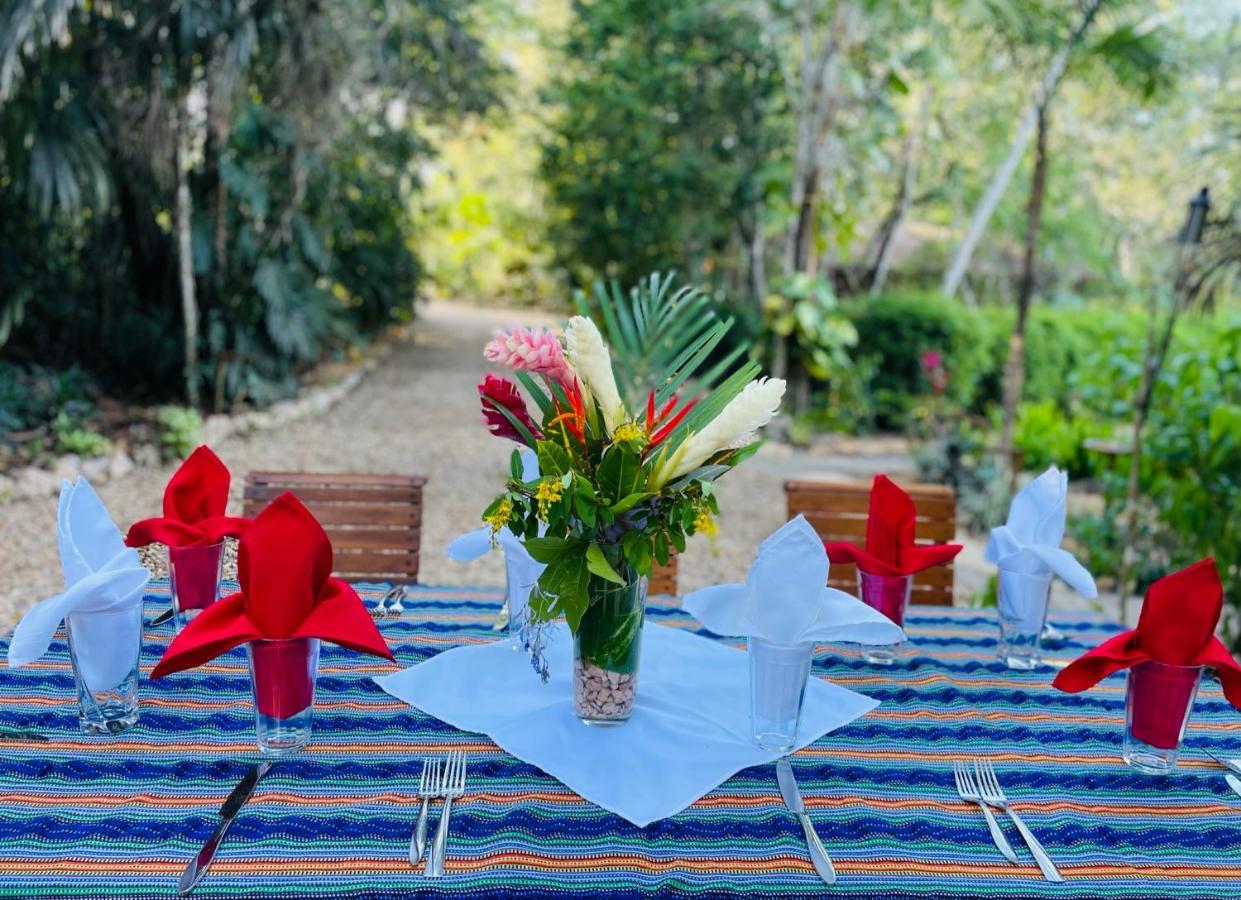 Mariposa Jungle Lodge San Ignacio Zewnętrze zdjęcie