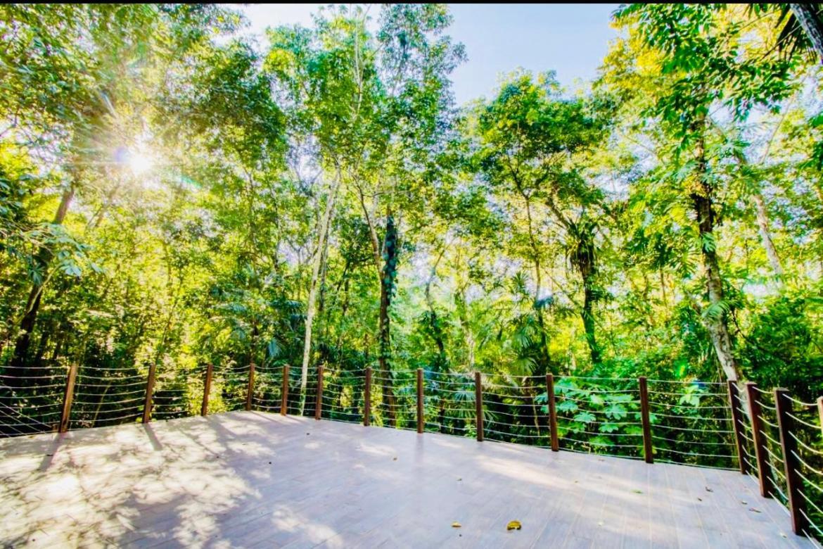 Mariposa Jungle Lodge San Ignacio Zewnętrze zdjęcie